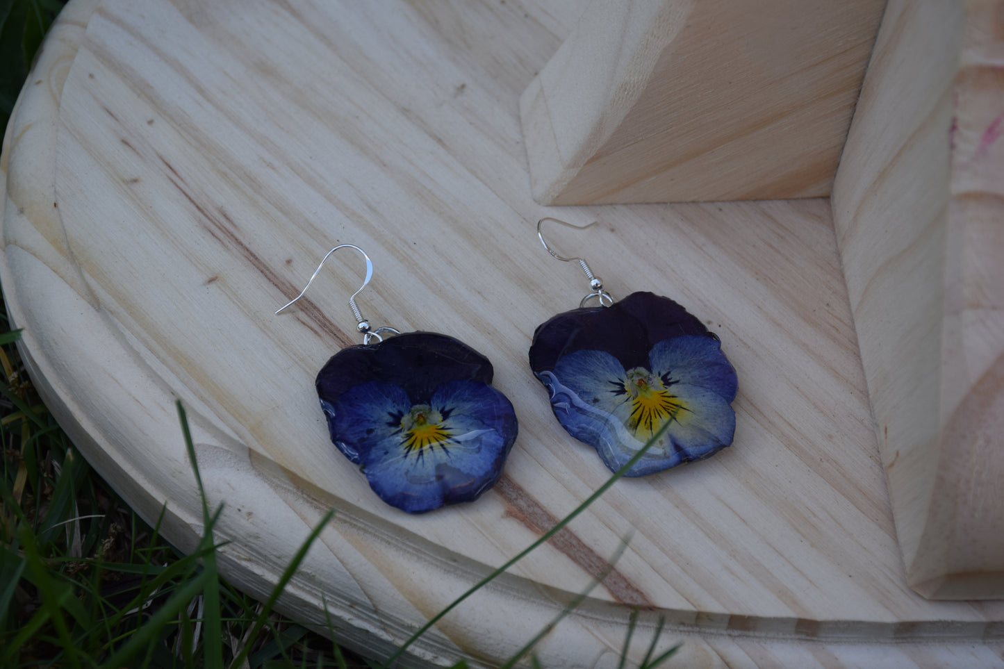 Real Pansy Flower Earrings