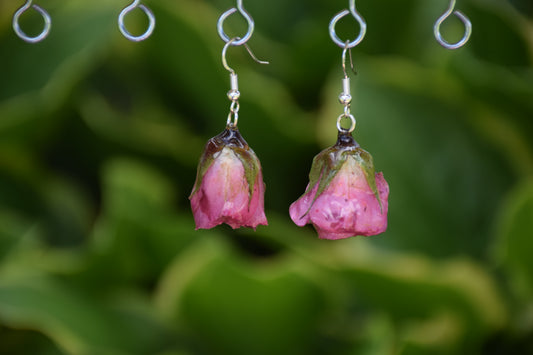 Real Spray Rose Flower Earrings