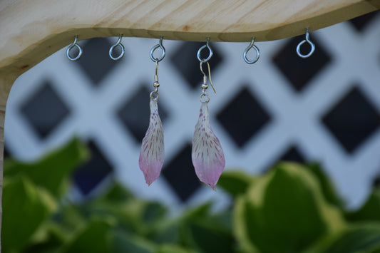 Real Alstroemeria (Peruvian Lily) Flower Earrings