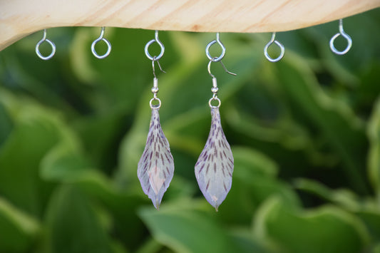 Real Alstroemeria (Peruvian Lily) Flower Earrings