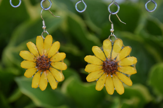 Real Zinnia Flower Earrings