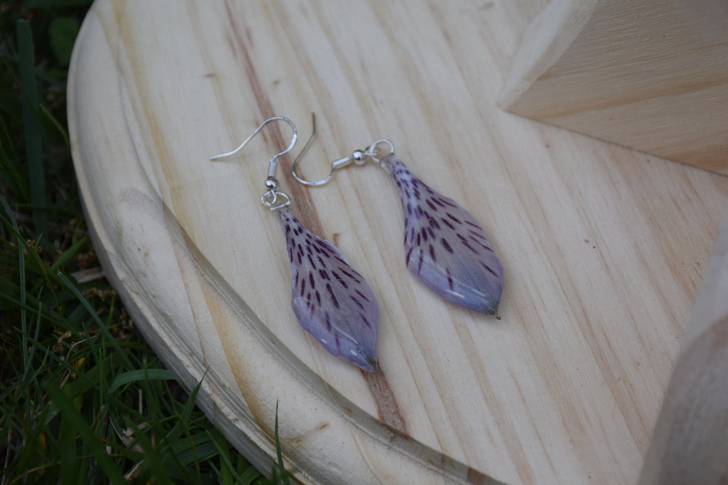 Real Alstroemeria (Peruvian Lily) Flower Earrings