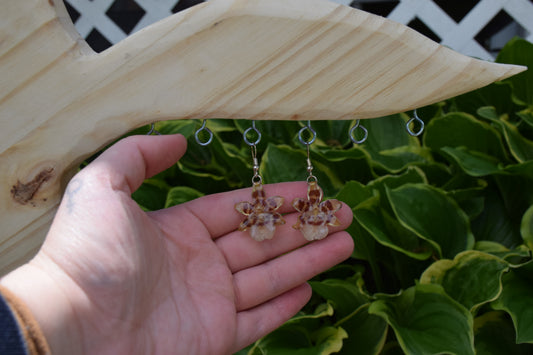 Real Orchid (Oncidium) Flower Earrings