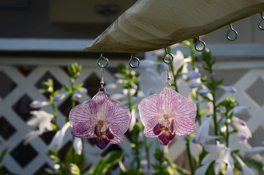 Real Preserved Orchid (Phalaenopsis) Flower Earrings