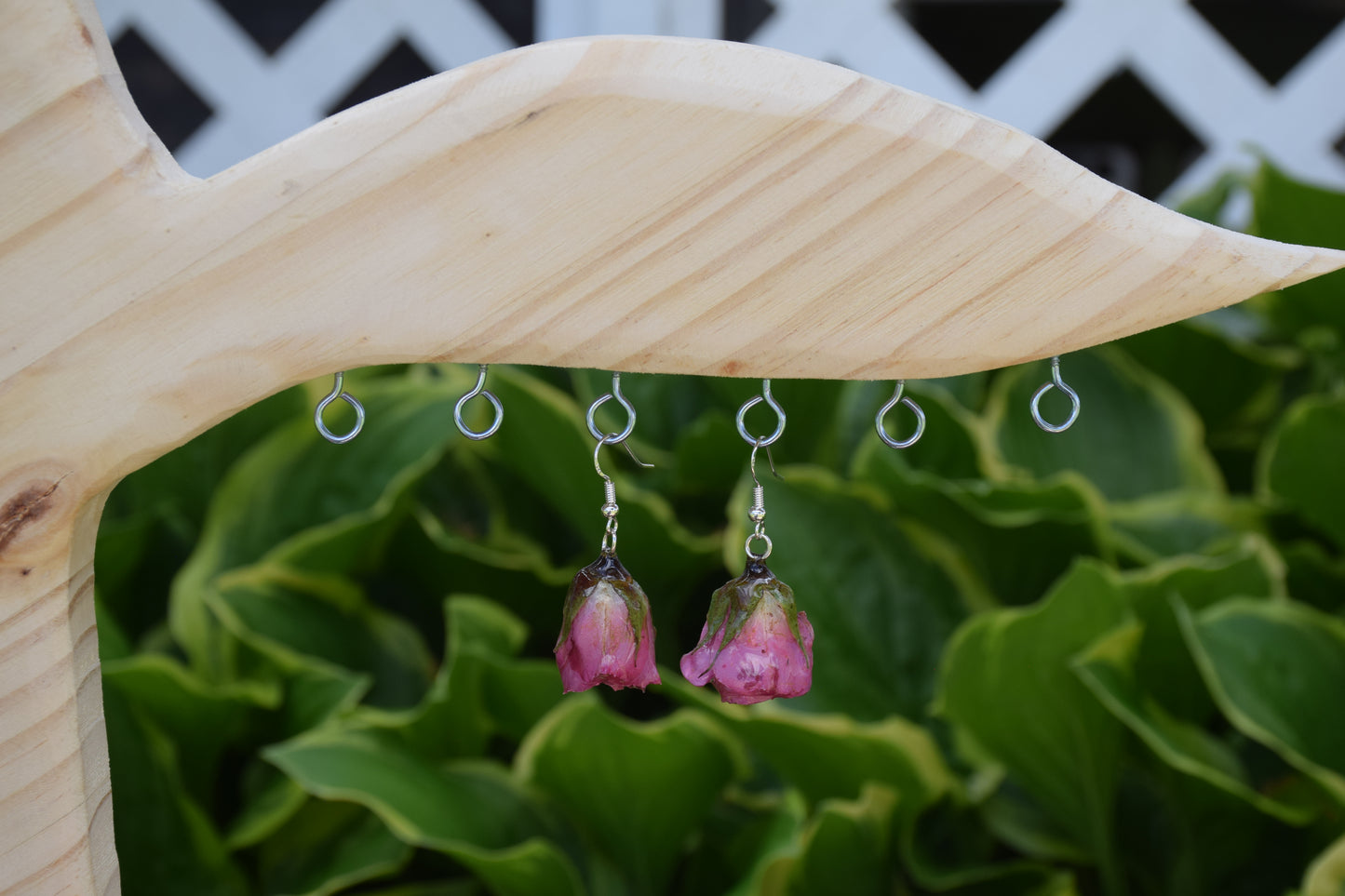 Real Spray Rose Flower Earrings