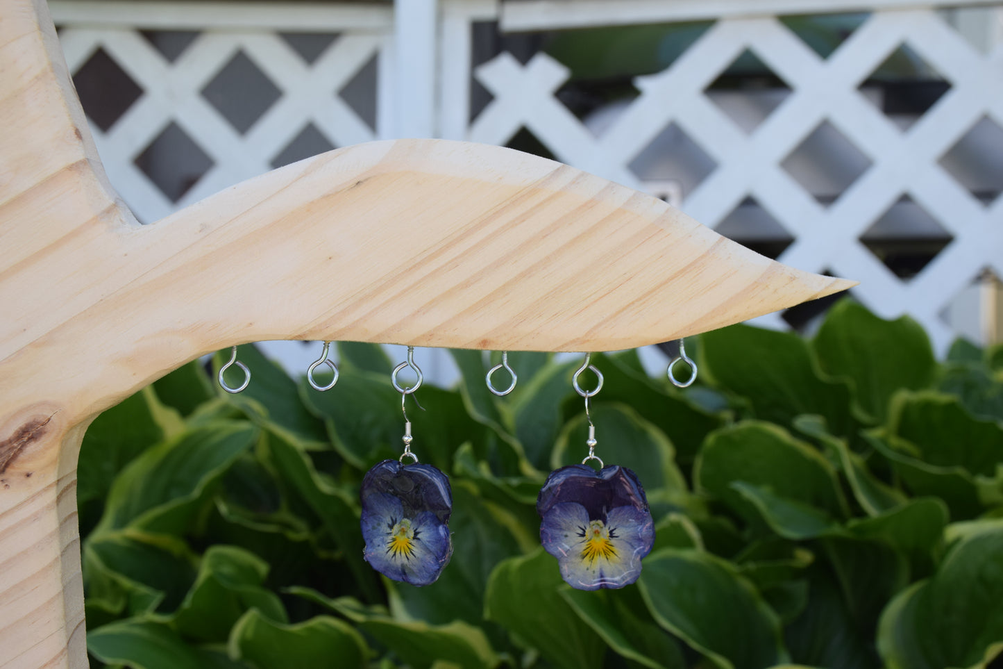 Real Pansy Flower Earrings