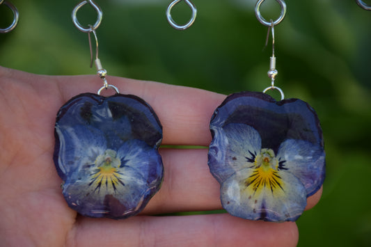 Real Pansy Flower Earrings