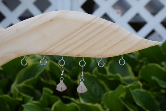 Real Carnation Flower Petal Earrings