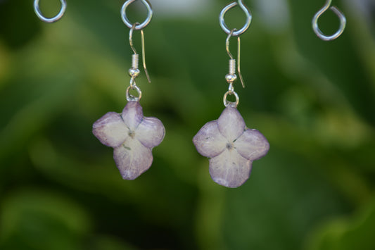 Real Hydrangea Flower Earrings