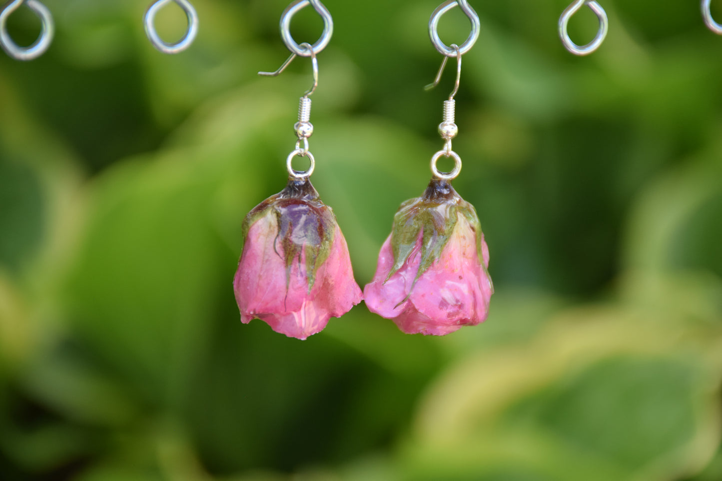 Real Spray Rose Flower Earrings