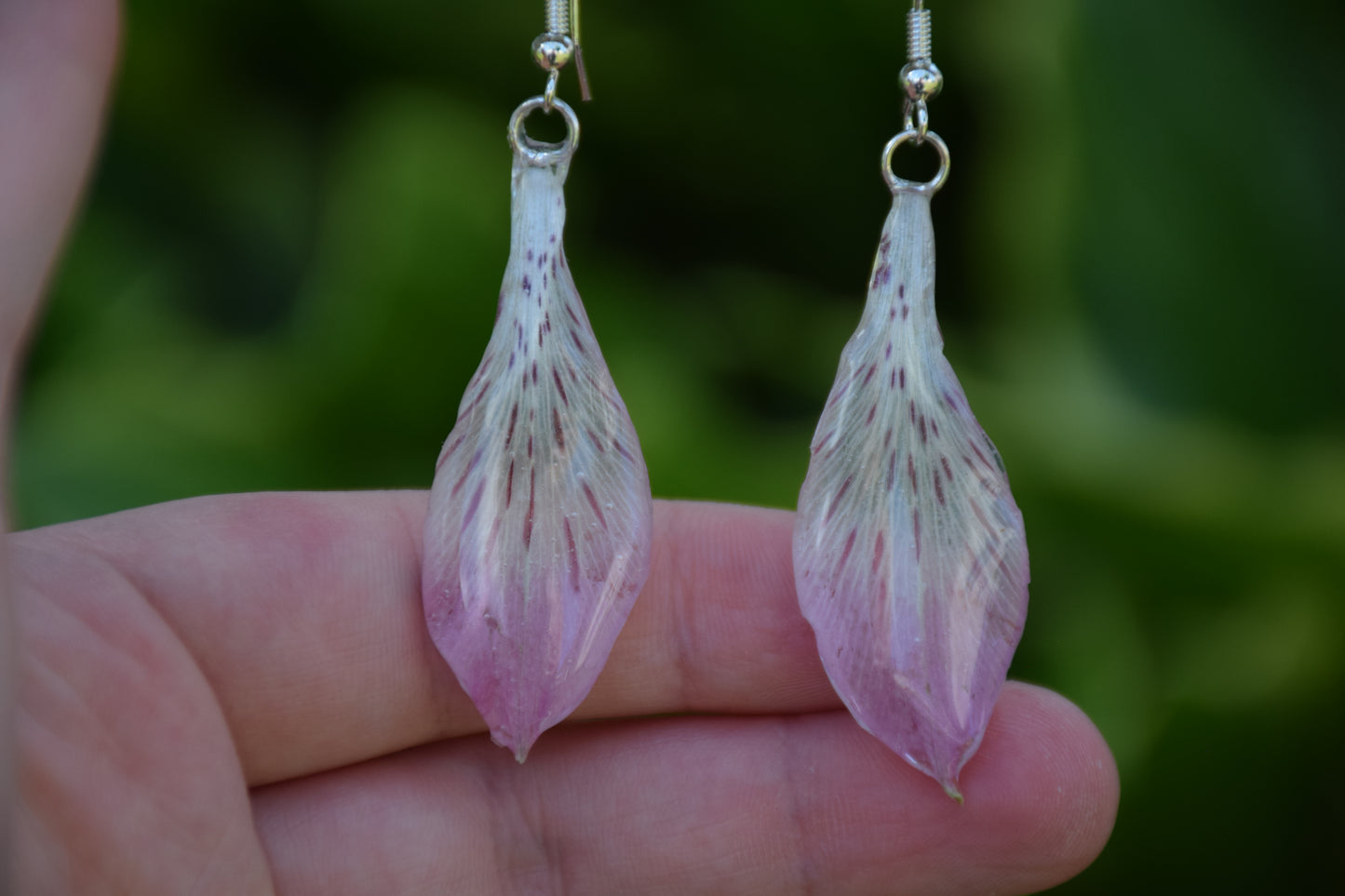 Real Alstroemeria (Peruvian Lily) Flower Earrings