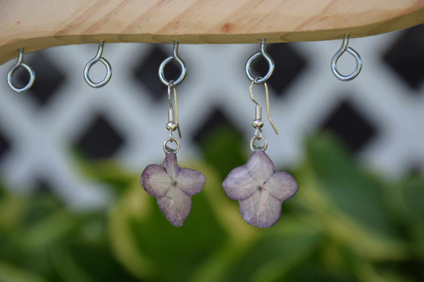 Real Hydrangea Flower Earrings