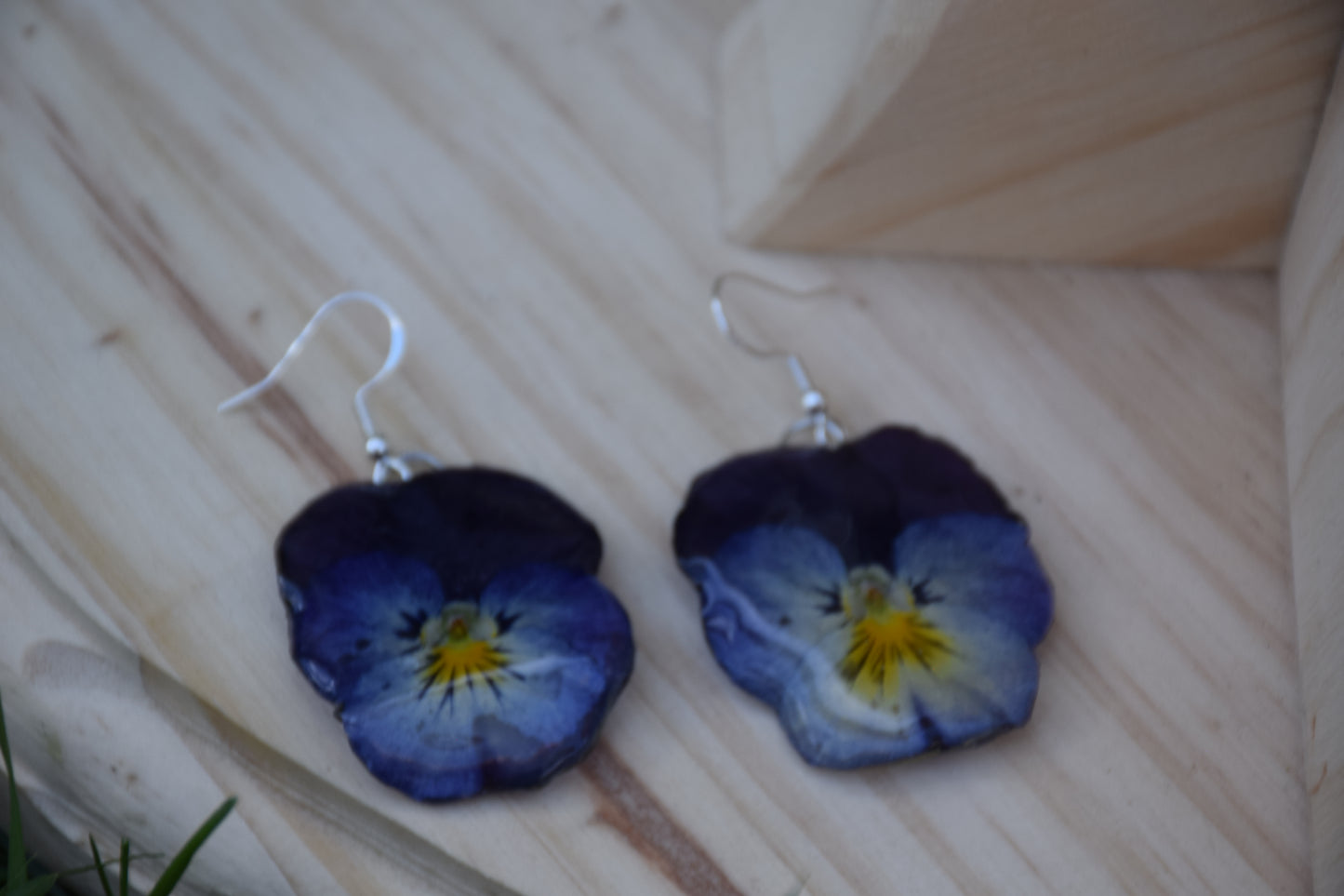 Real Pansy Flower Earrings