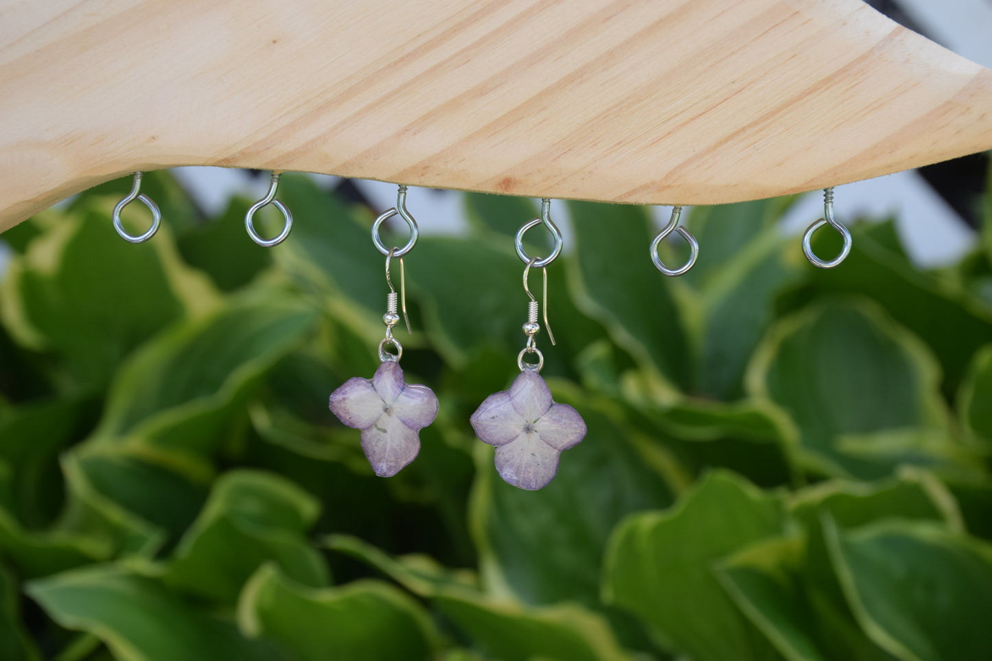 Real Hydrangea Flower Earrings