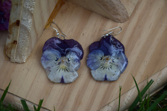 Real Preserved Pansy Flower Earrings