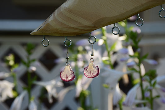 Real Carnation Flower Petal Earrings