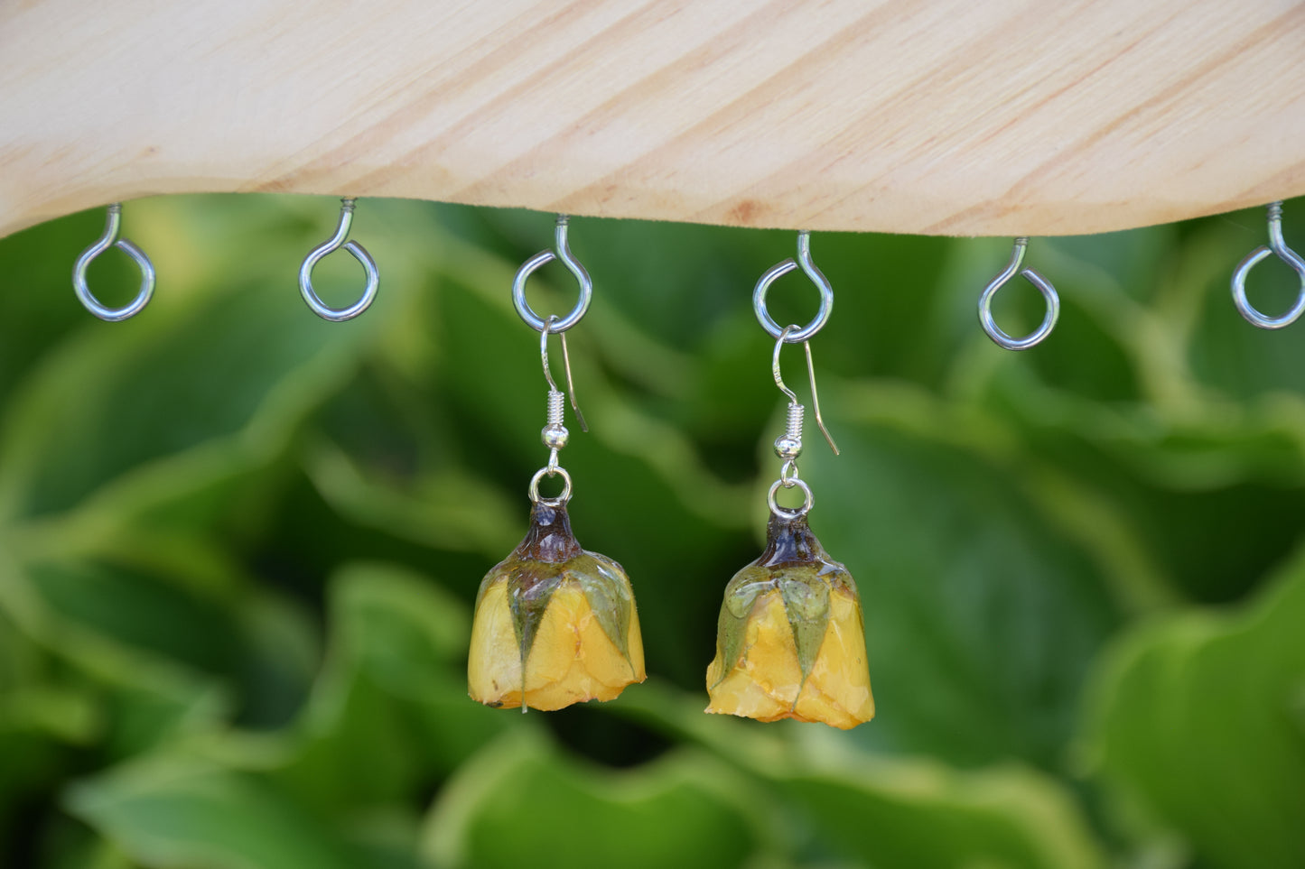 Real Spray Rose Flower Earrings