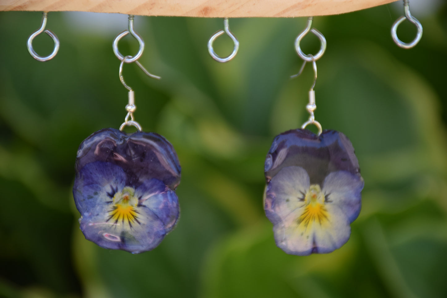 Real Pansy Flower Earrings