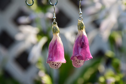 Real Preserved Foxglove Flower Earrings