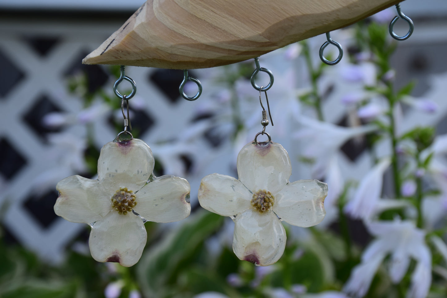 Real Preserved Dogwood Flower Earrings
