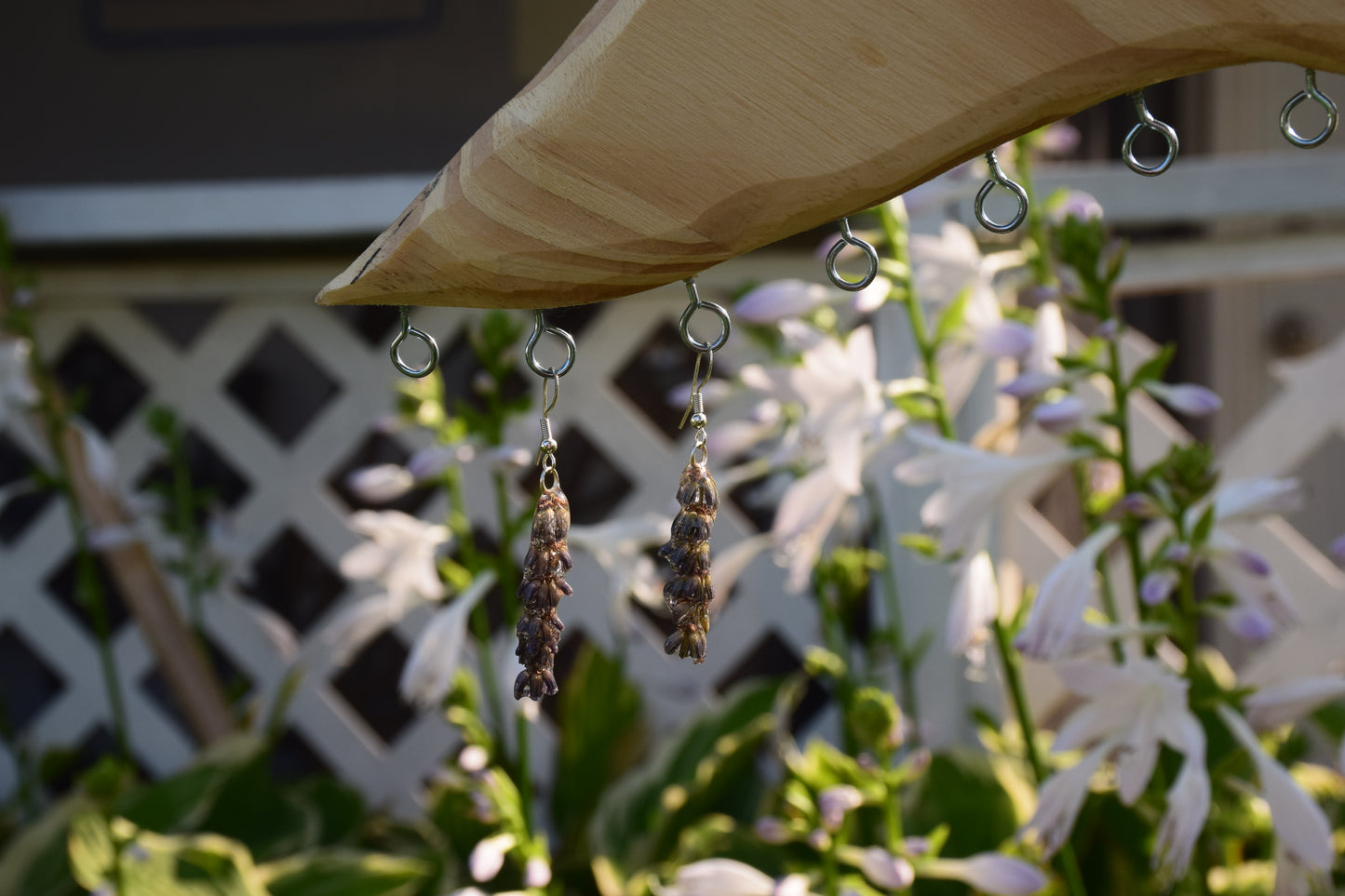Real Preserved Lavender Flower Earrings