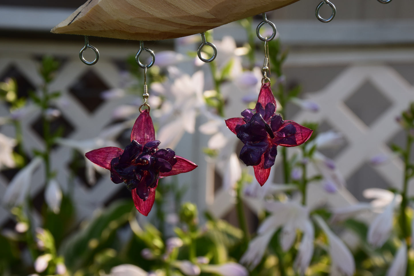 Real Preserved Fuchsia Flower Earrings