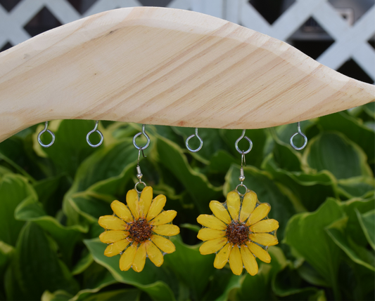 Real Zinnia Flower Earrings