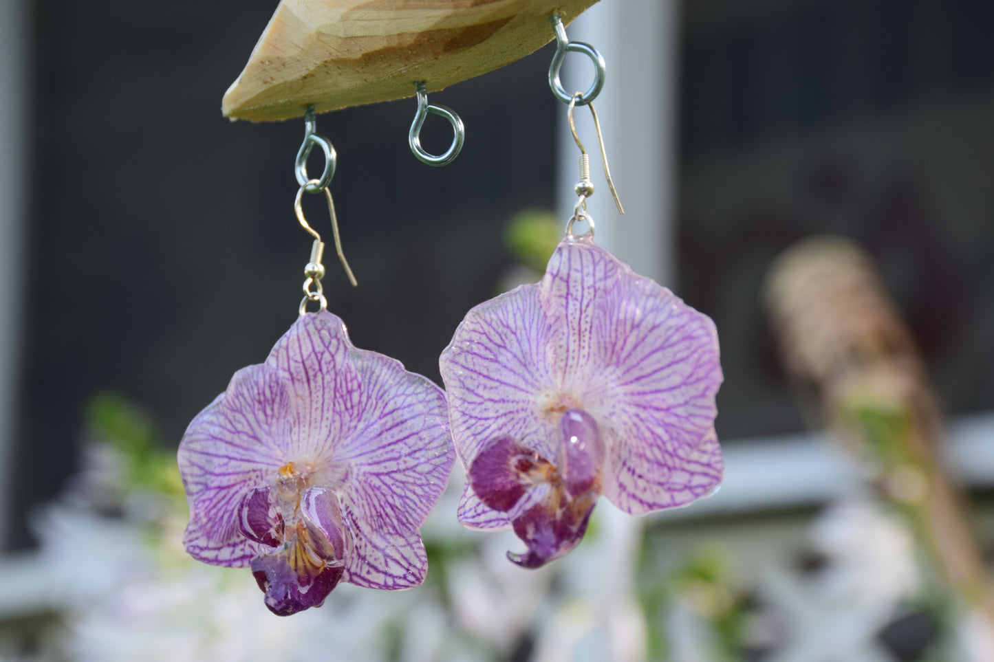Real Preserved Orchid (Phalaenopsis) Flower Earrings