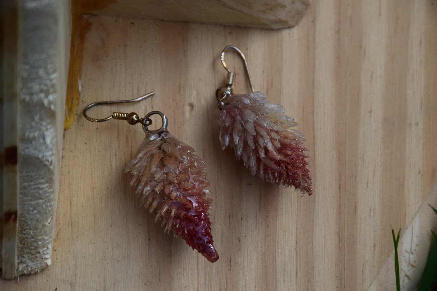 Real Preserved Celosia (Flamingo Feather) Flower Earrings