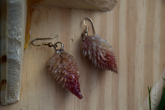 Real Preserved Celosia (Flamingo Feather) Flower Earrings