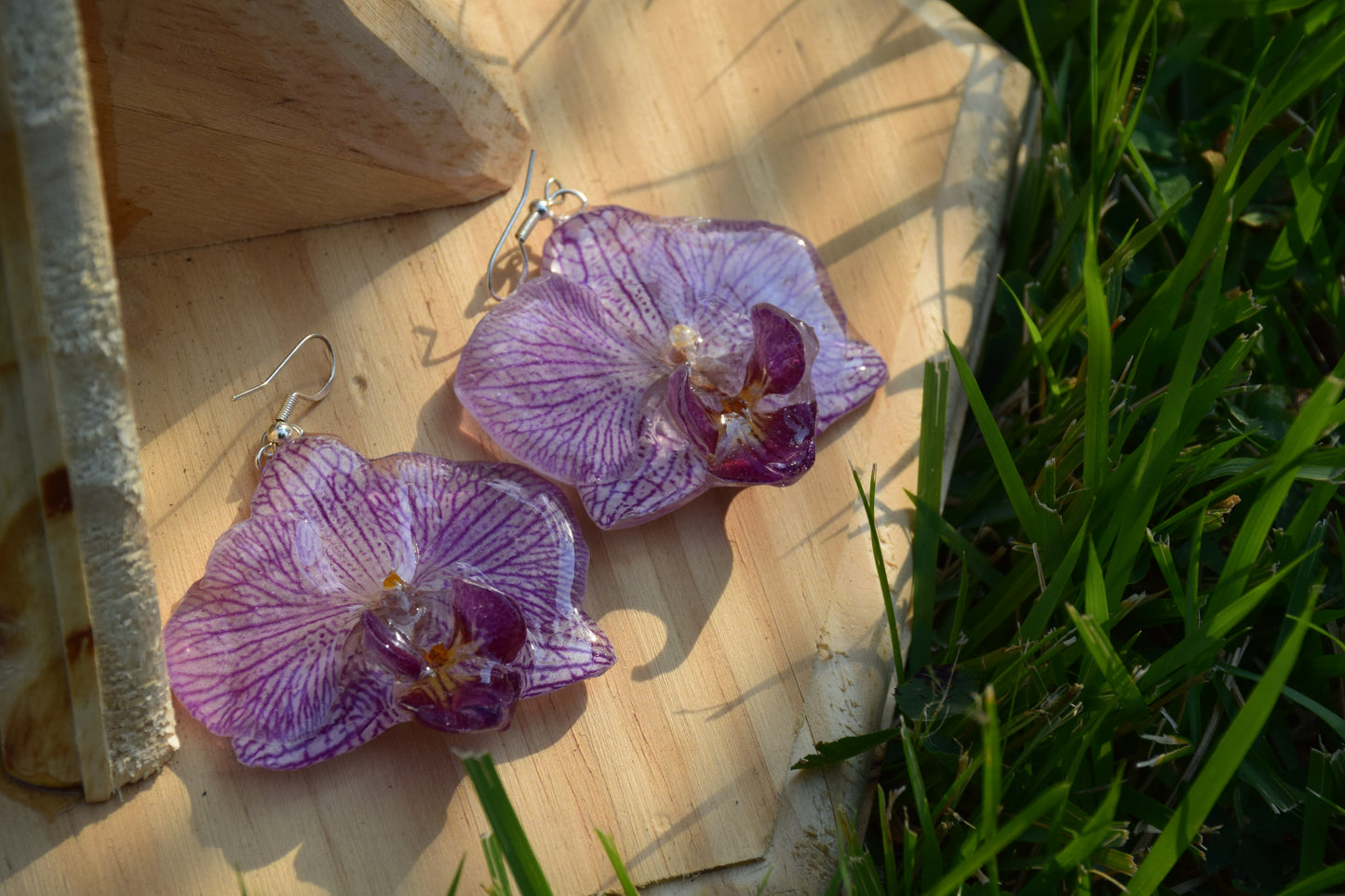 Real Preserved Orchid (Phalaenopsis) Flower Earrings