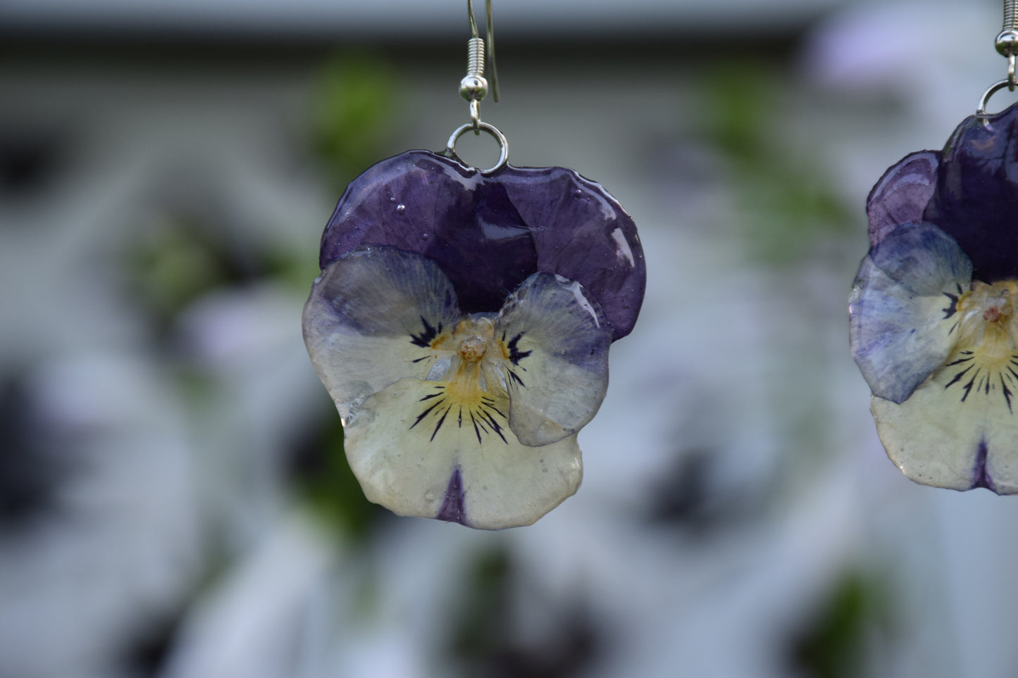 Real Preserved Pansy Flower Earrings