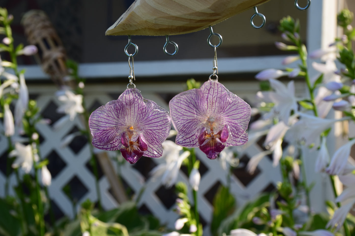 Real Preserved Orchid (Phalaenopsis) Flower Earrings