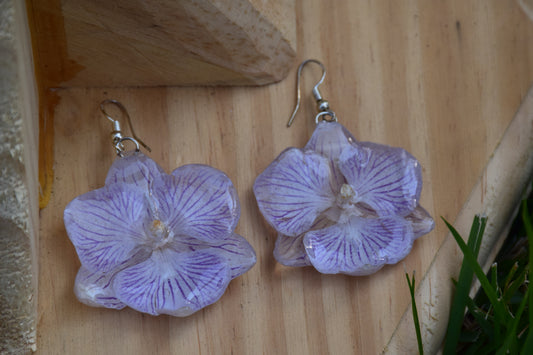 Real Orchid (Big Lip Phaleonopsis) Earrings