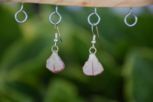 Real Carnation Flower Petal Earrings