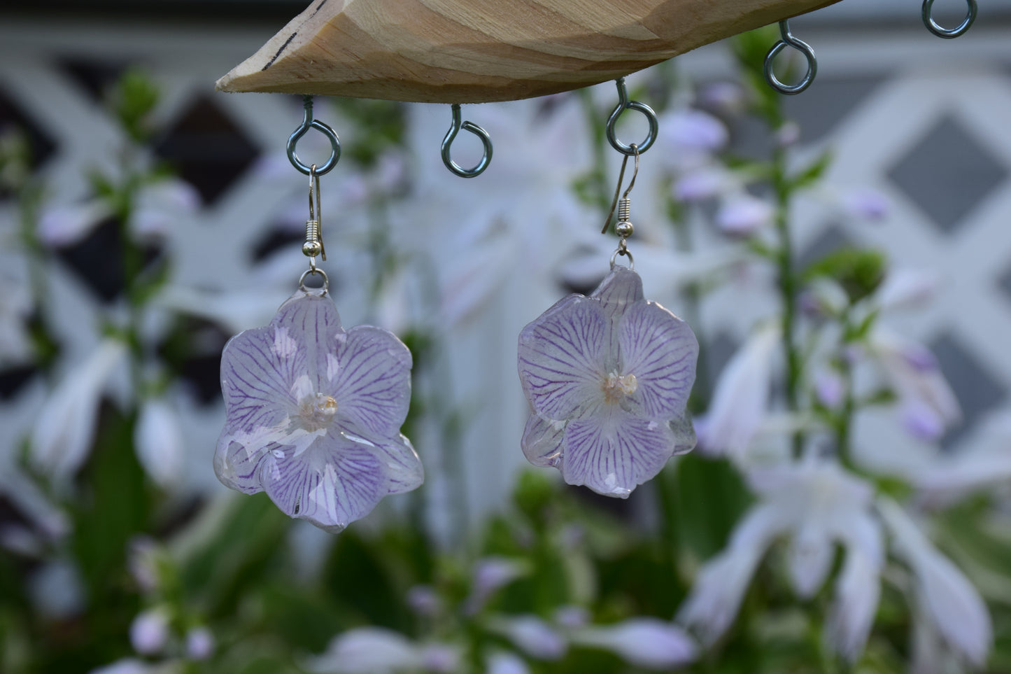 Real Orchid (Big Lip Phaleonopsis) Earrings
