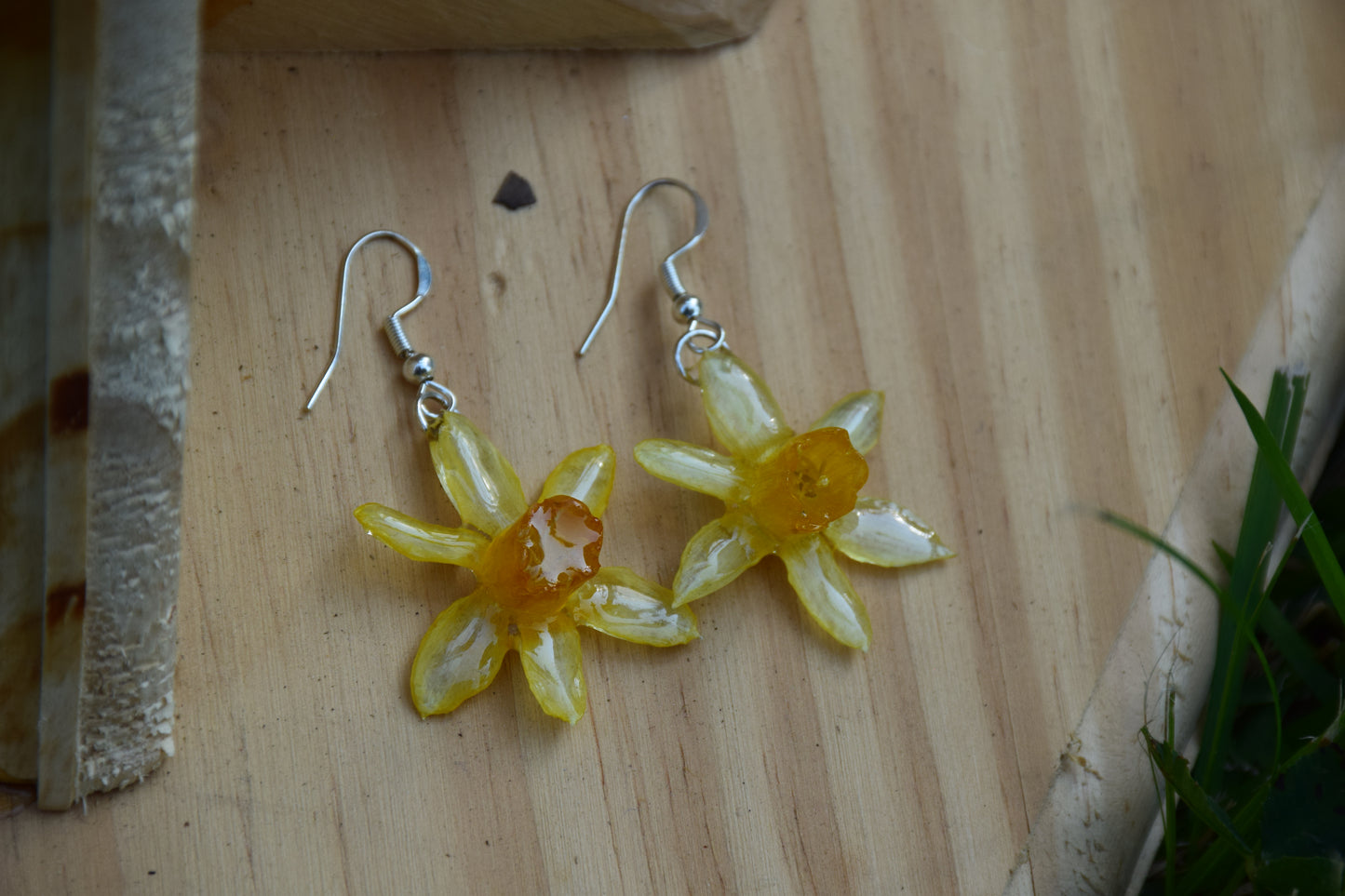 Real Preserved Daffodil Flower Earrings