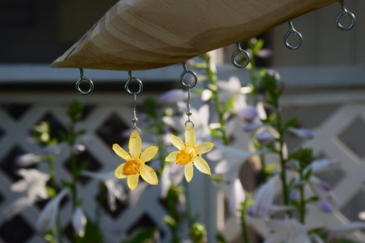 Real Preserved Daffodil Flower Earrings