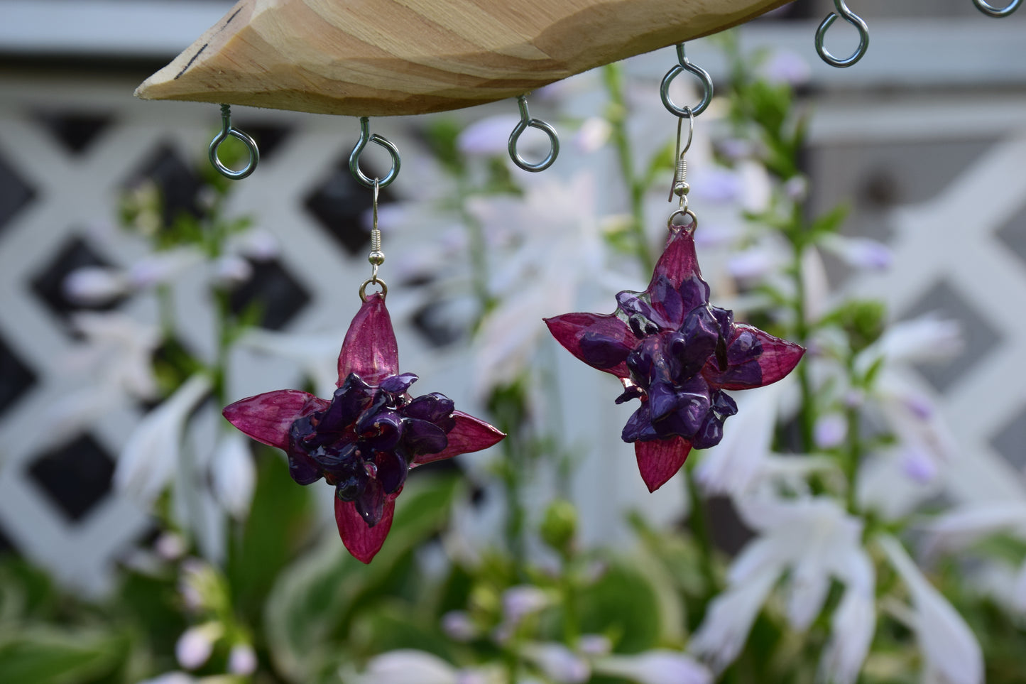 Real Preserved Fuchsia Flower Earrings