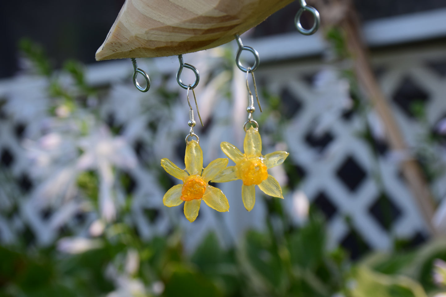 Real Preserved Daffodil Flower Earrings