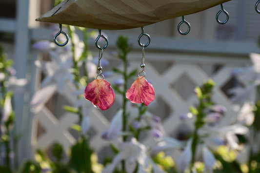 Real Preserved Spray Rose Petal Earrings