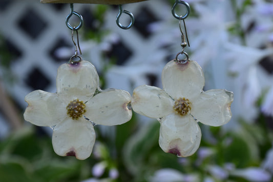 Real Preserved Dogwood Flower Earrings