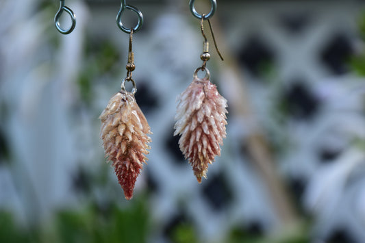 Real Preserved Celosia (Flamingo Feather) Flower Earrings