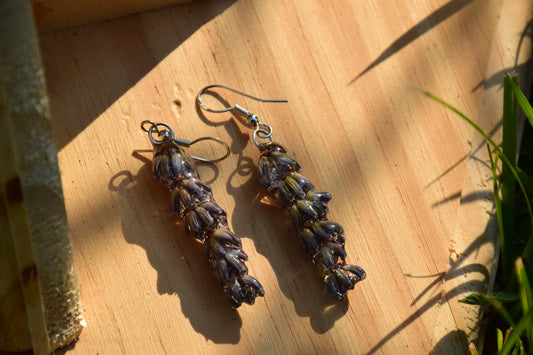 Real Preserved Lavender Flower Earrings