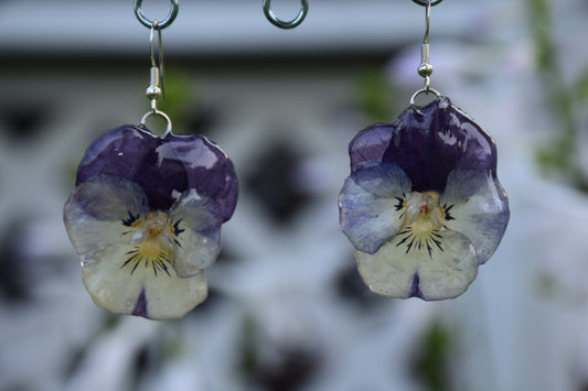 Real Preserved Pansy Flower Earrings