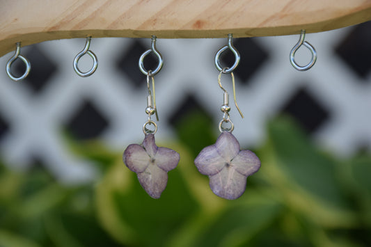 Real Hydrangea Flower Earrings