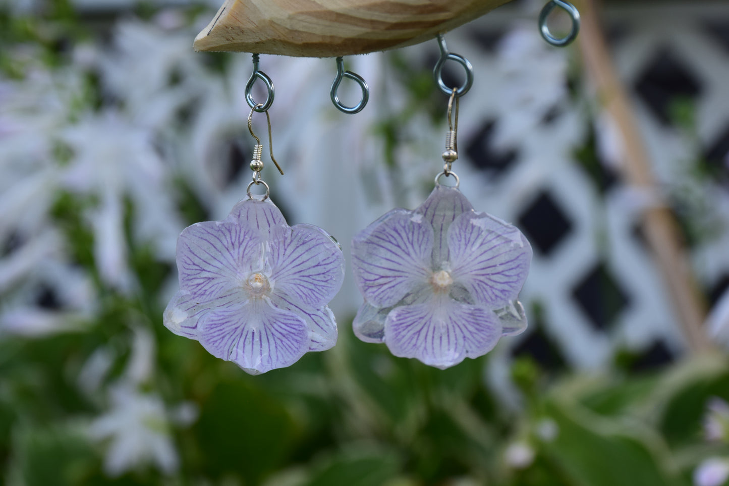 Real Orchid (Big Lip Phaleonopsis) Earrings