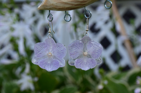 Real Orchid (Big Lip Phaleonopsis) Earrings