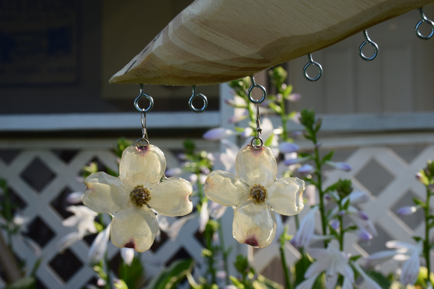 Real Preserved Dogwood Flower Earrings