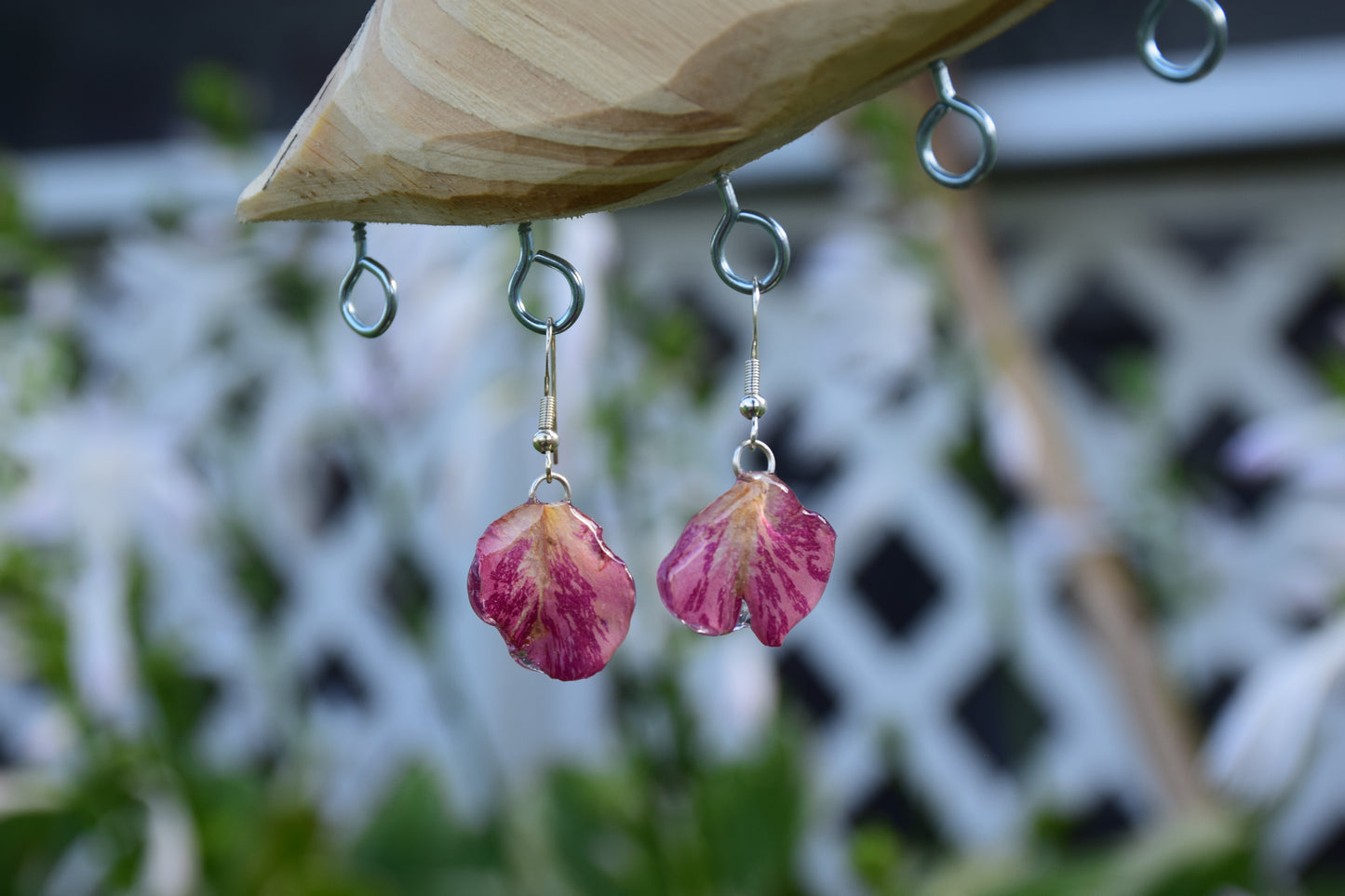 Real Preserved Spray Rose Petal Earrings